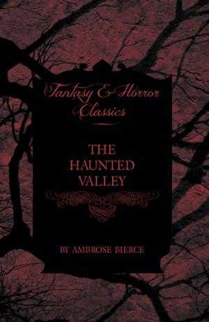 Cover of the book The Haunted Valley by Annie Fellows Johnston