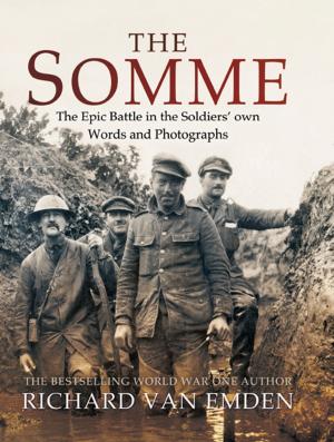 Book cover of The Somme