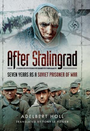 bigCover of the book After Stalingrad by 