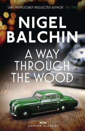 Cover of the book A Way Through the Wood by Barrington J. Bayley