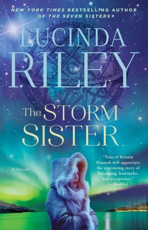 Cover of the book The Storm Sister by Jayson Gallaway