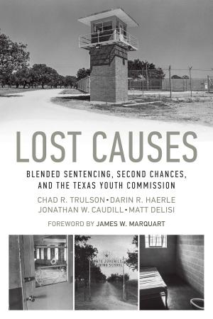 Book cover of Lost Causes