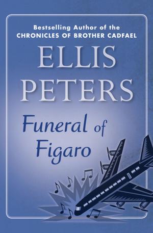 Cover of the book Funeral of Figaro by Bryan Nowak