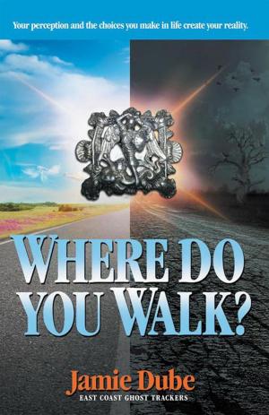 Cover of the book Where Do You Walk? by Benjamin Vinar