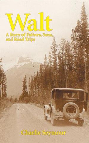 Cover of the book Walt by Benjamin Vinar