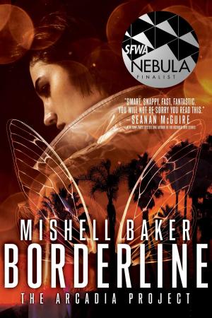 Cover of the book Borderline by Brett Halliday