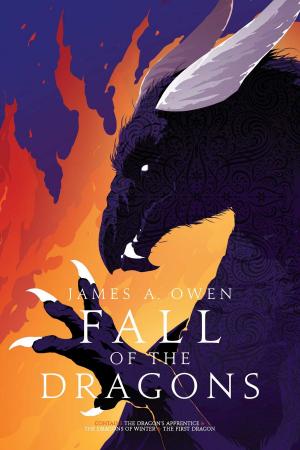 Cover of the book Fall of the Dragons by TK Rising