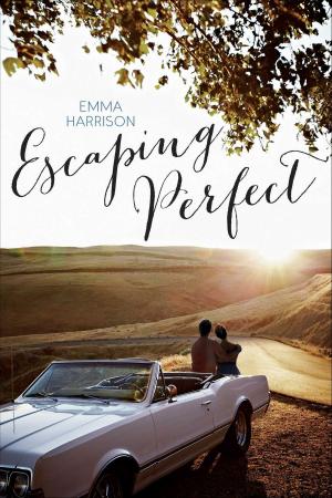 Cover of the book Escaping Perfect by Dawn Cardin
