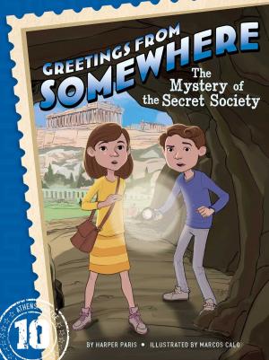 Cover of the book The Mystery of the Secret Society by Harper Paris