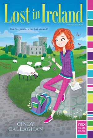Book cover of Lost in Ireland