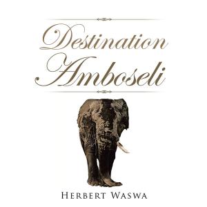 bigCover of the book Destination Amboseli by 
