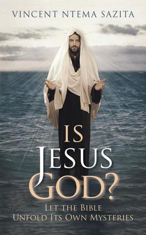Cover of Is Jesus God? Let the Bible Unfold Its Own Mysteries