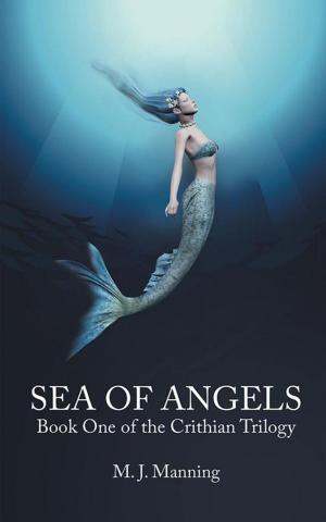 Cover of the book Sea of Angels by X. W. Ng