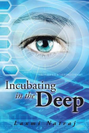 Cover of the book Incubating in the Deep by PG Lengsfelder