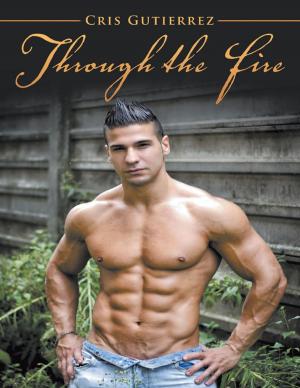 Cover of the book Through the Fire by Steven Leone