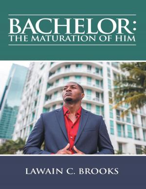 Cover of the book Bachelor: The Maturation of Him by Demas Huckaba