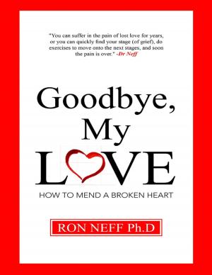 Cover of the book Goodbye, My Love by Jane M. Nelson
