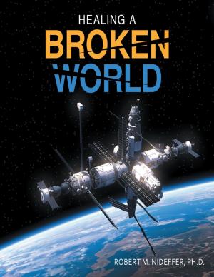 Cover of the book Healing a Broken World by David Coddon