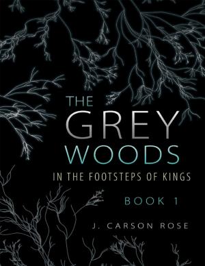 Cover of the book The Grey Woods: Book 1 In the Footsteps of Kings by Jim Verdonik