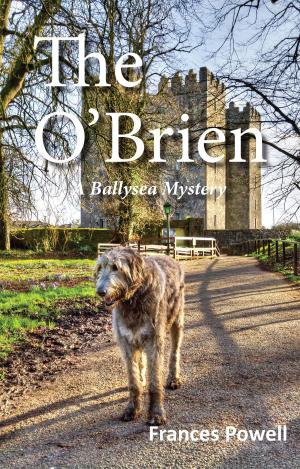 Cover of the book The O'Brien by Sara Kay Jordan