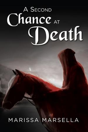 Cover of the book A Second Chance At Death by M.J. Evans