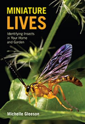 Book cover of Miniature Lives