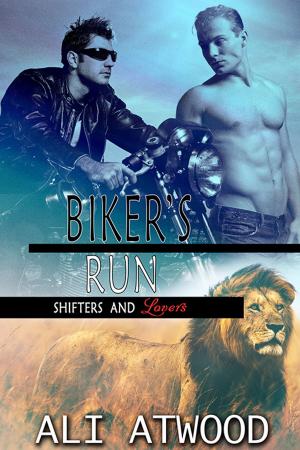 bigCover of the book Biker's Run by 