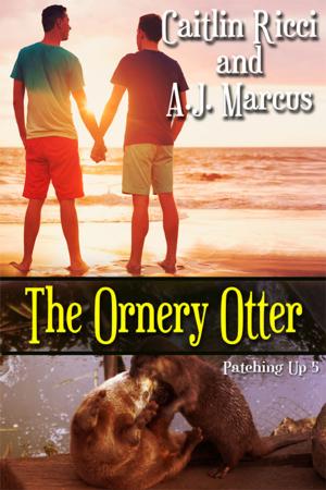 Cover of the book The Ornery Otter by Caitlin Ricci, A.J. Marcus