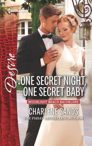 bigCover of the book One Secret Night, One Secret Baby by 