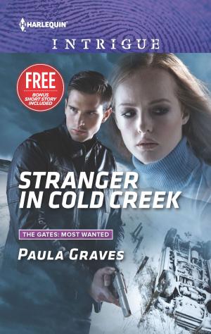 Cover of the book Stranger in Cold Creek by Kay David, Harper Allen