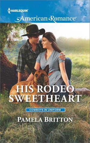 Book cover of His Rodeo Sweetheart
