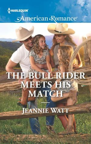 Cover of the book The Bull Rider Meets His Match by Lila Shaw, Sandra Bunino