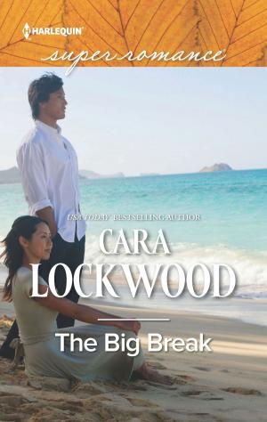 Cover of the book The Big Break by Lindsay Longford