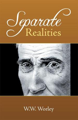 Cover of the book Separate Realities by Becky Lovering Shaikewitz