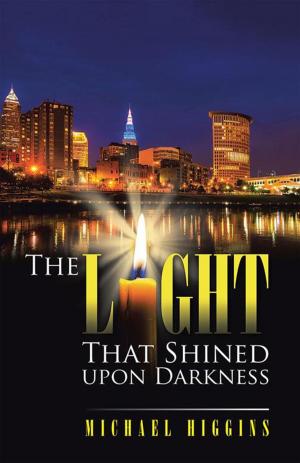 Cover of the book The Light That Shined Upon Darkness by marilyn dean