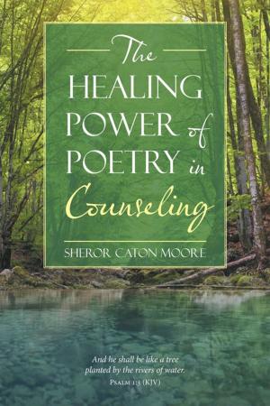 Cover of the book The Healing Power of Poetry in Counseling by Robert V. Hunt Jr.