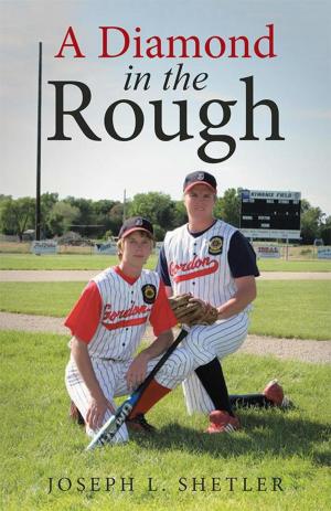 Cover of the book A Diamond in the Rough by Christian Clingman