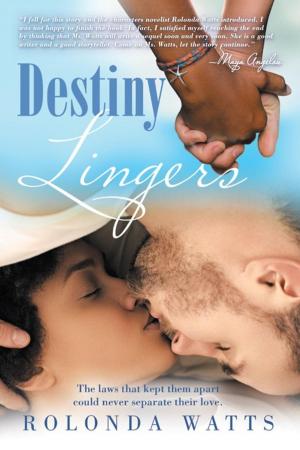 Cover of the book Destiny Lingers by Cat Ravenelle