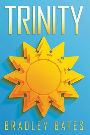 Cover of the book Trinity by Tibor Timothy Vajda