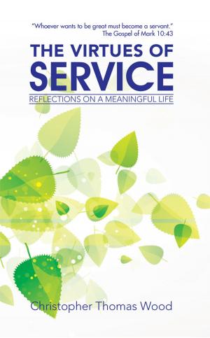 Cover of the book The Virtues of Service by Helga Meyer, Lark Evans Galli