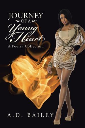 Cover of the book Journey of a Young Heart by Andy Feld