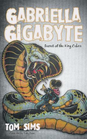 Cover of the book Gabriella Gigabyte by Phil D’Agostino MEd LPC-NC