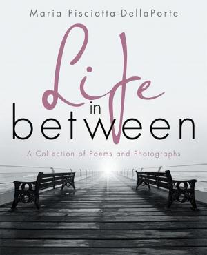 Cover of the book Life in Between by Steven J. Filippini