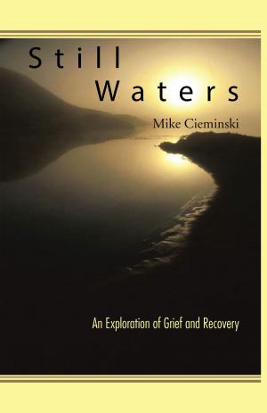 Cover of the book Still Waters by John