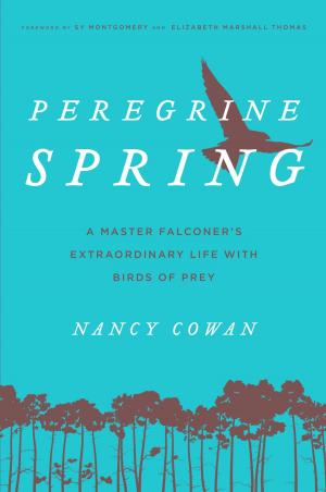 Cover of the book Peregrine Spring by Cheryl Charming, Susan Bourgoin