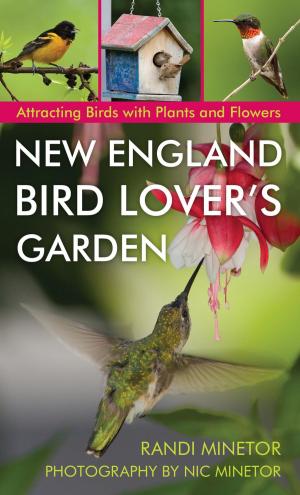 bigCover of the book New England Bird Lover's Garden by 