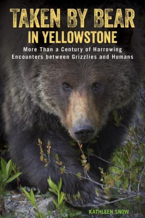 Book cover of Taken by Bear in Yellowstone