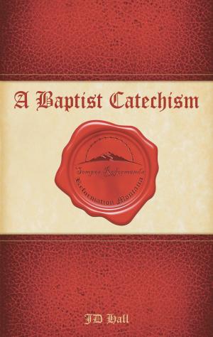 Cover of the book Baptist Catechism by Bari Bair