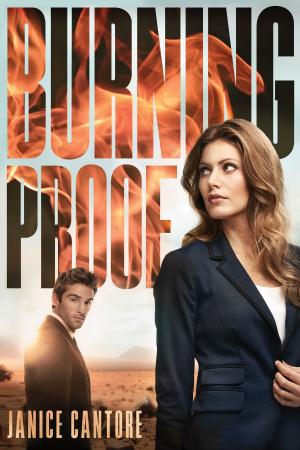 Cover of the book Burning Proof by Deborah Lynne