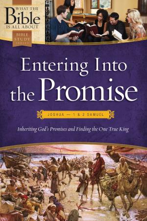 Book cover of Entering Into the Promise: Joshua through 1 & 2 Samuel